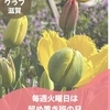 ニュース・記事画像